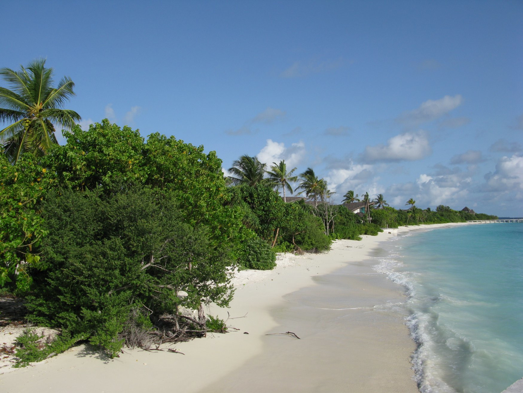 Пляж в Шавияни Атолл, Мальдивы – фотографии Мальдивских островов