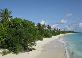 Пляж в Шавияни Атолл, Мальдивы – фотографии Мальдивских островов