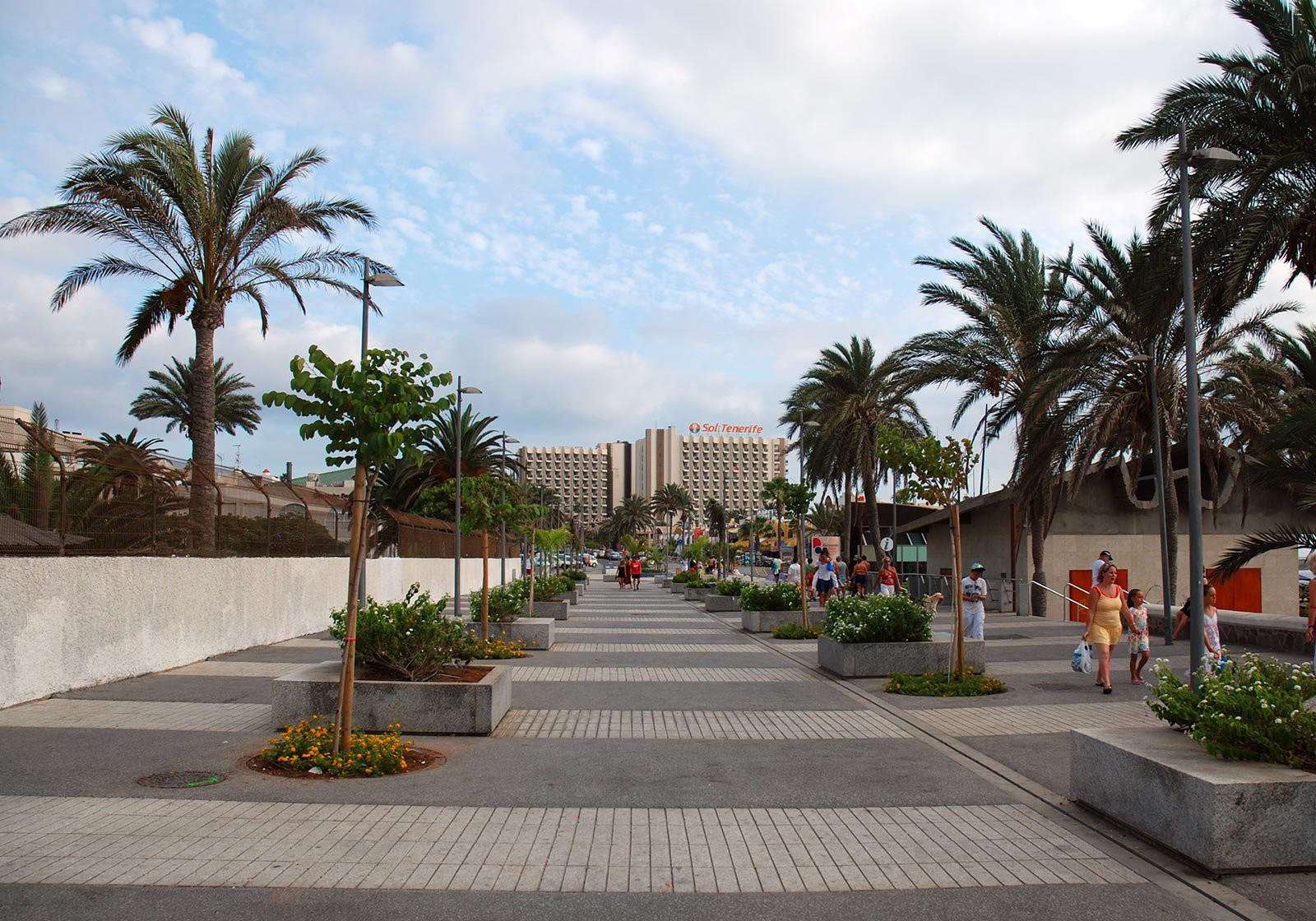 Плайя-де-лас-Америкас, Тенерифе остров, Канарские острова, фото № 33550 – фотографии Канарских островов