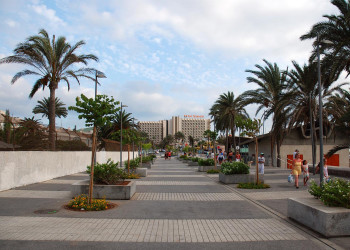 Плайя-де-лас-Америкас, Тенерифе остров, Канарские острова, фото № 33550 – фотографии Канарских островов