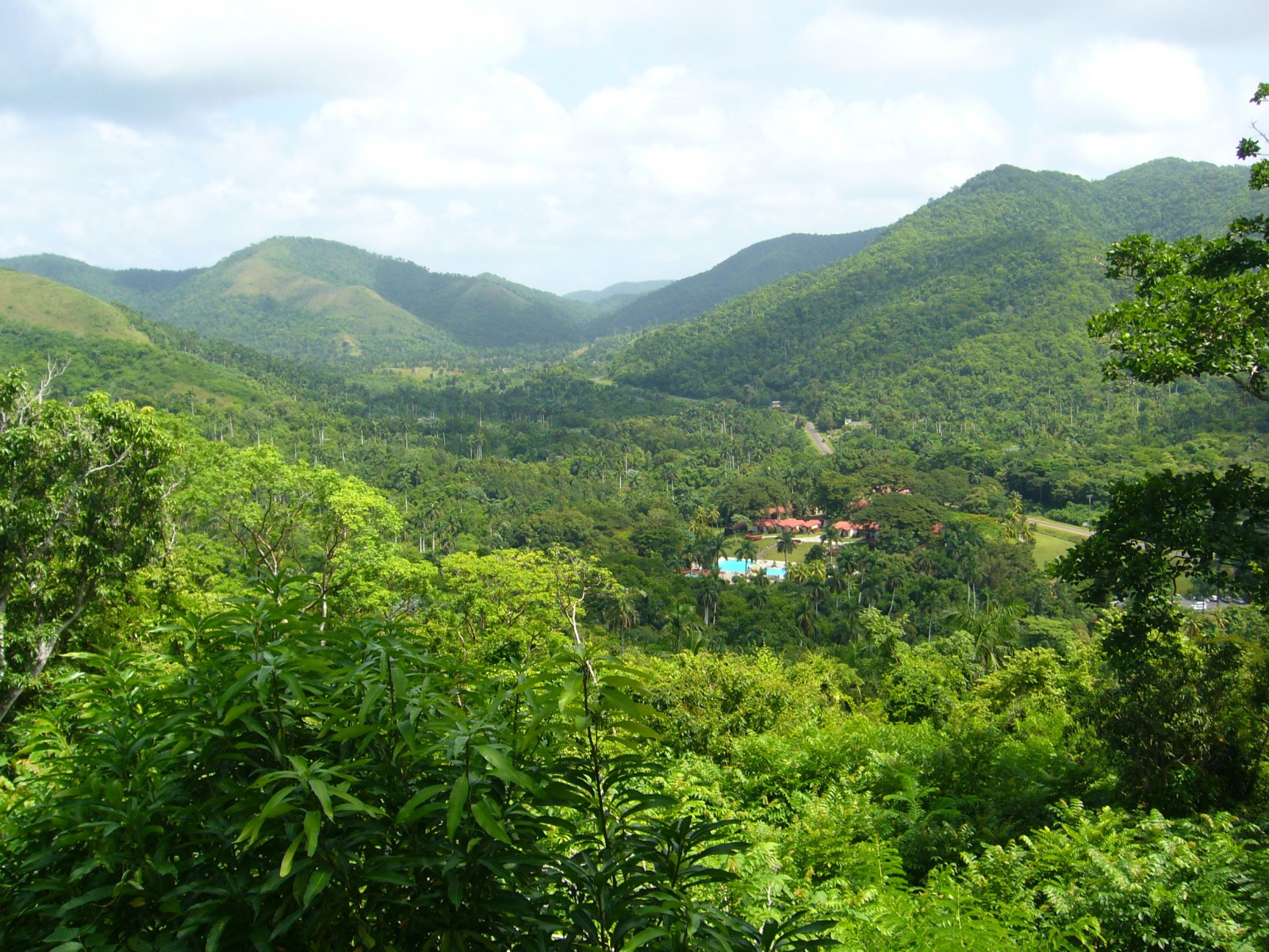 Природа в Пинар дель Рио провинция, Куба. Фото 26 – фотографии Кубы