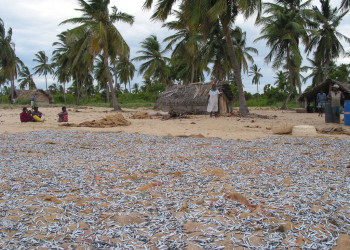 Баттикалоа, Шри-Ланка, фото № 50577 – фотографии Шри-Ланки