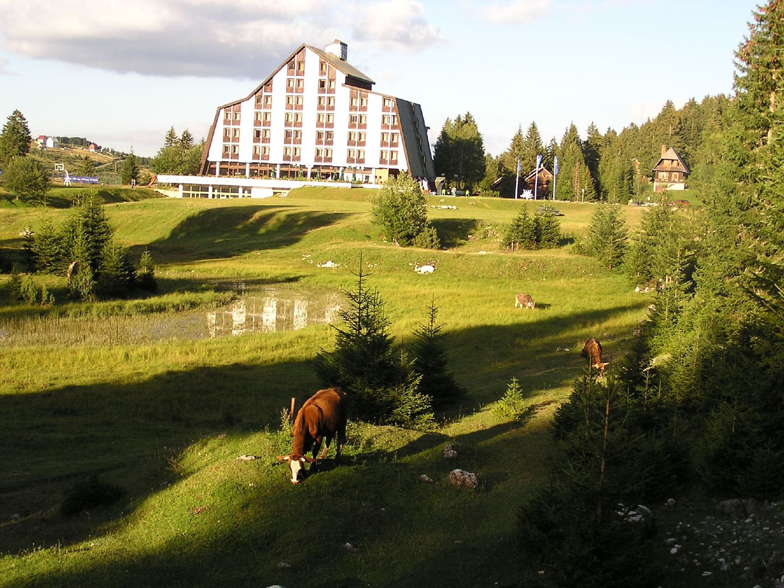 Животные в Жабляк, Черногория – фотографии Черногории
