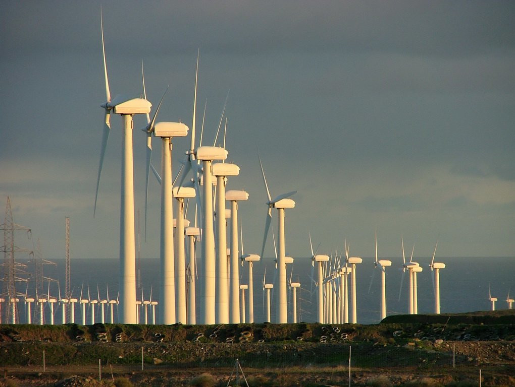 Позо-Изкуердо, Гран-Канария остров, Канарские острова, фото № 31218 – фотографии Канарских островов
