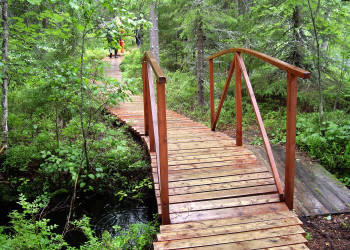 Ботанический сад на Соловках. Фото 2 – фотографии России
