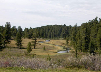 Природа в Каракольские озёра, Россия. Фото 8 – фотографии России