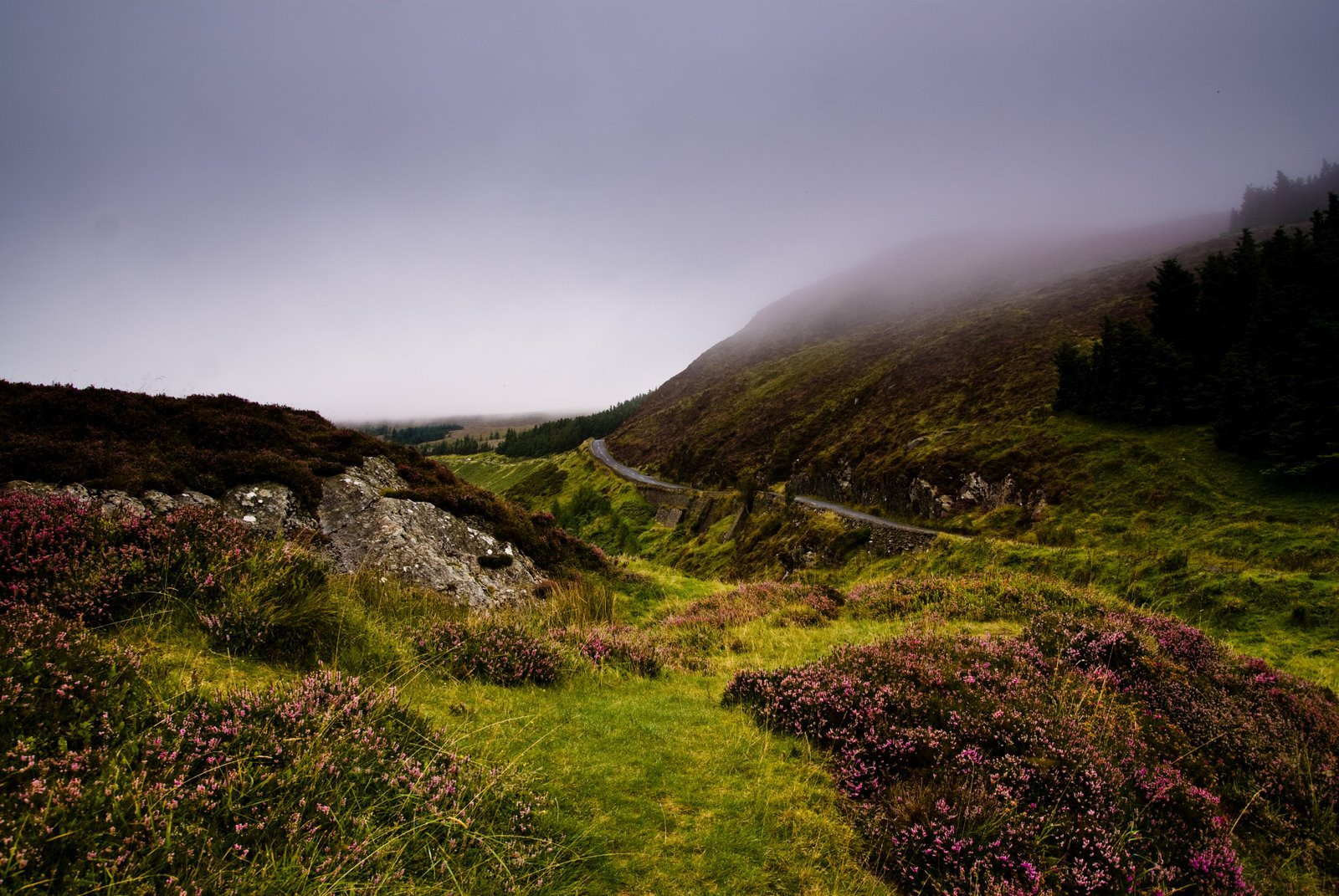Ирландия, фото № 2529 – фотографии Ирландии