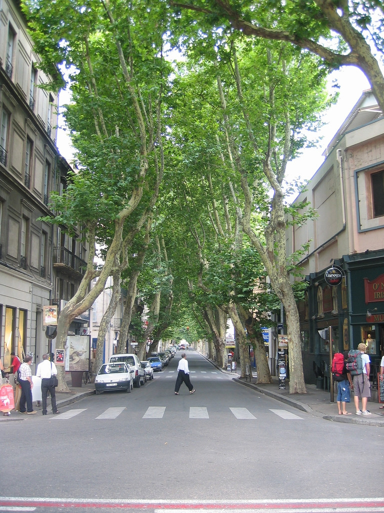 Улица в Авиньоне, Франция. Фото 6 – фотографии Франции