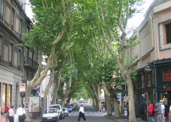 Улица в Авиньоне, Франция. Фото 6 – фотографии Франции