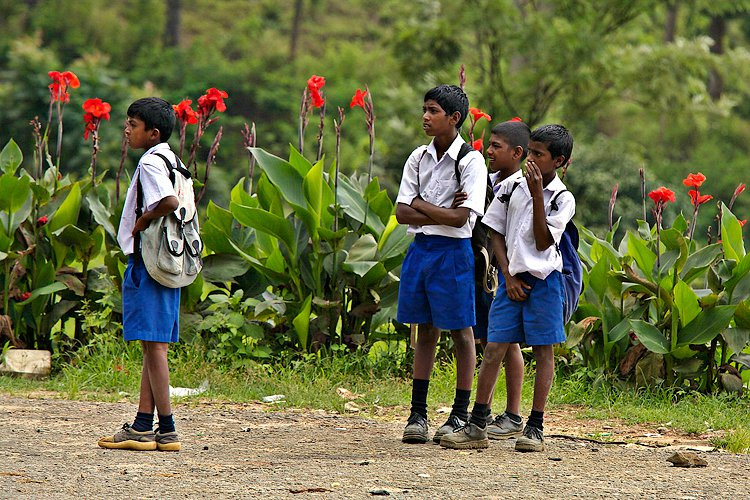 Нувара Элия, Шри-Ланка, фото № 52050 – фотографии Шри-Ланки