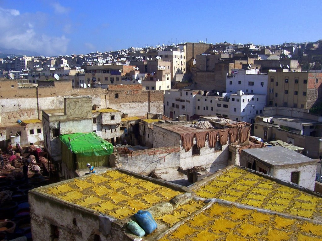 Фес, Марокко, фото № 8497 – фотографии Марокко