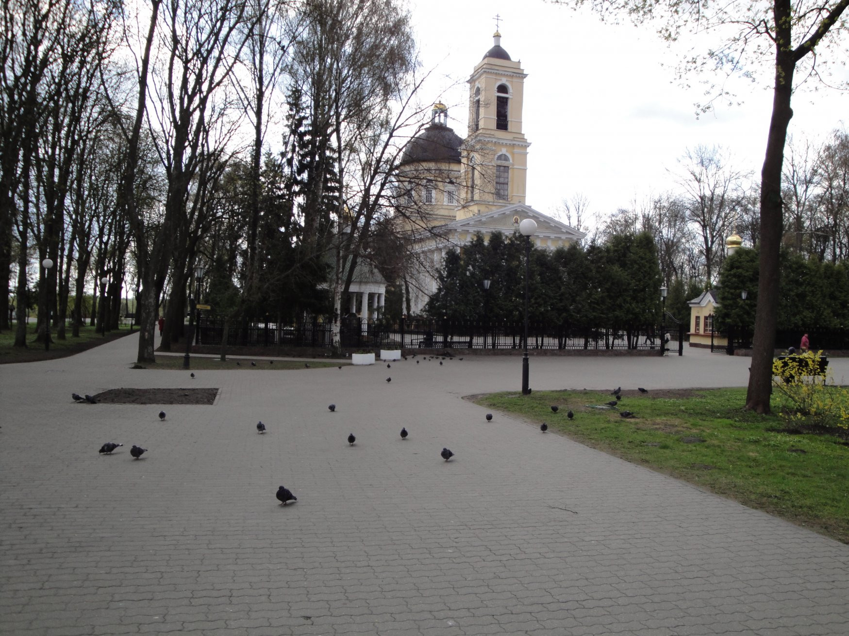Парк в Гомеле, Беларусь – фотографии Беларуси
