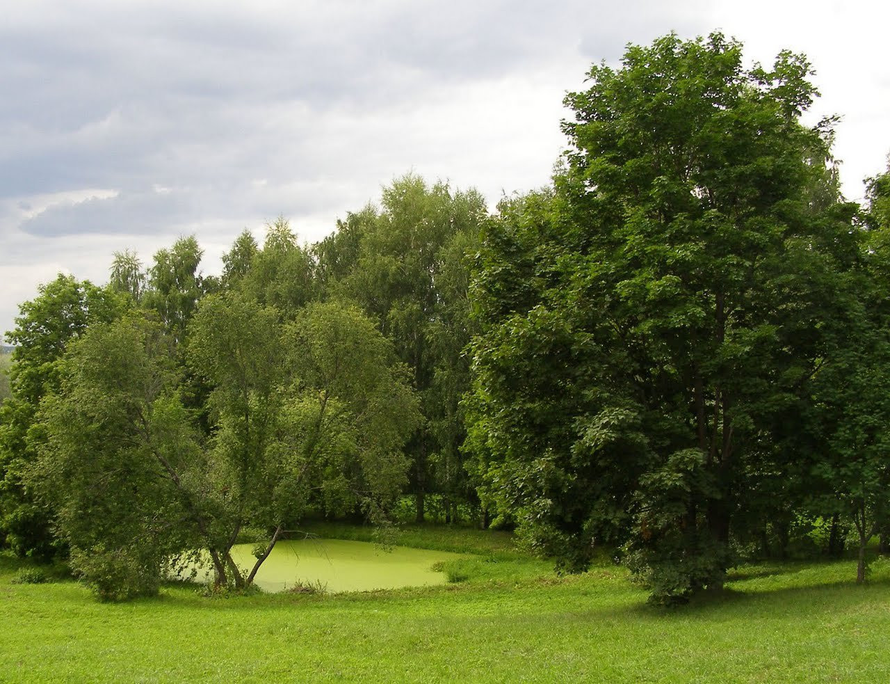 Природа в Большое Болдино, Россия. Фото 1 – фотографии России