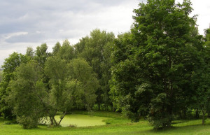 Природа в Большое Болдино, Россия. Фото 1 – фотографии России