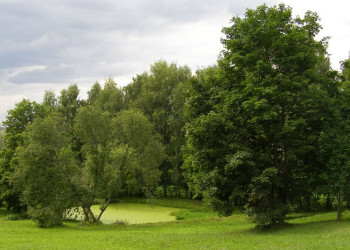 Природа в Большое Болдино, Россия. Фото 1 – фотографии России