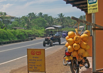 Берувела, Шри-Ланка, фото № 50711 – фотографии Шри-Ланки