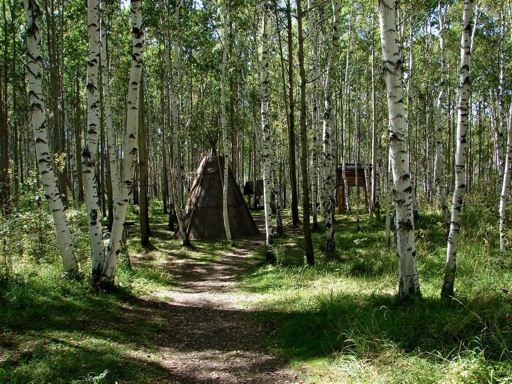 Природа в Тальцах, Россия. Фото 1 – фотографии России