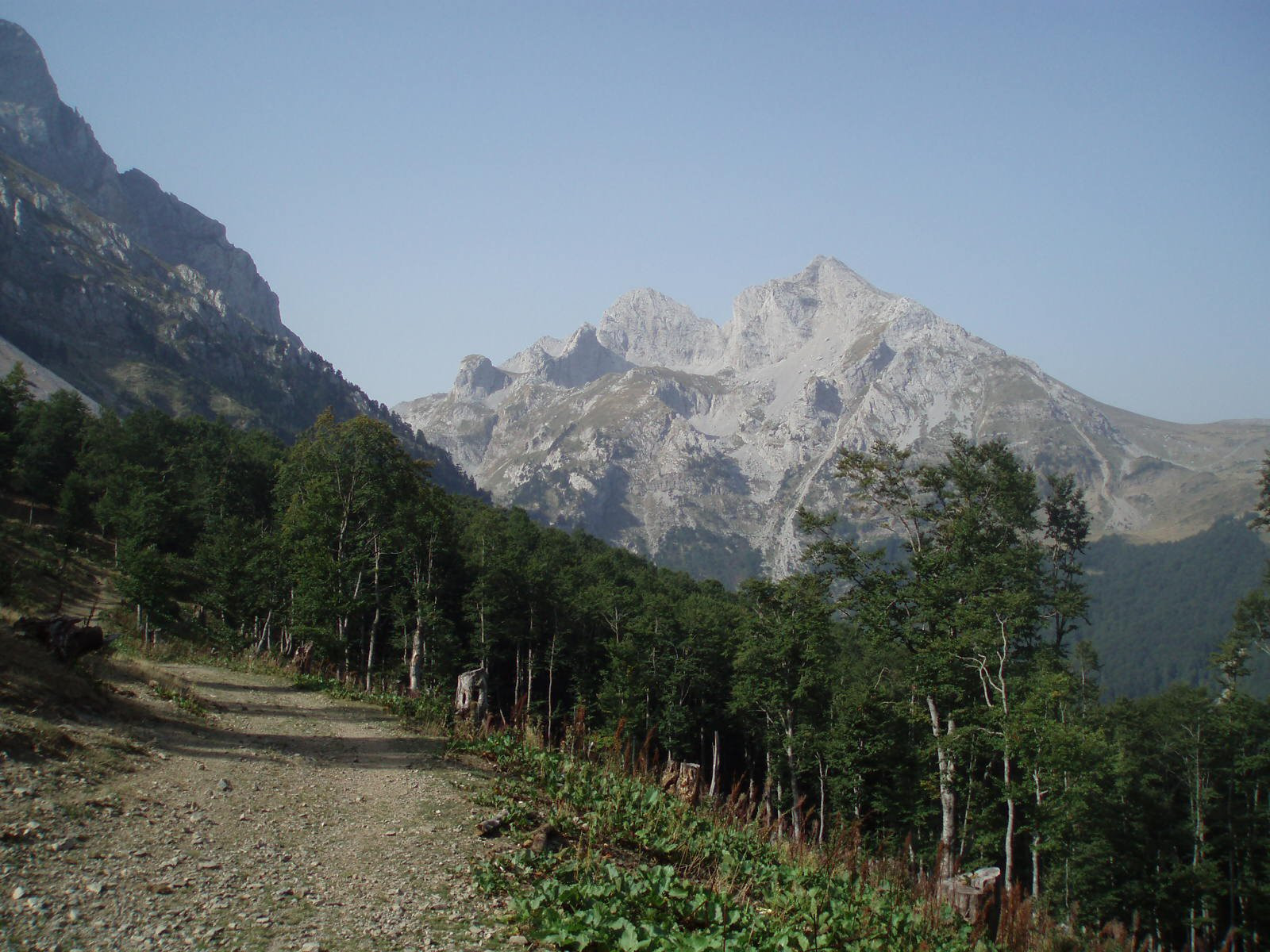 Национальный парк, Черногория. Фото 23 – фотографии Черногории