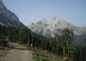 Национальный парк, Черногория. Фото 23 – фотографии Черногории