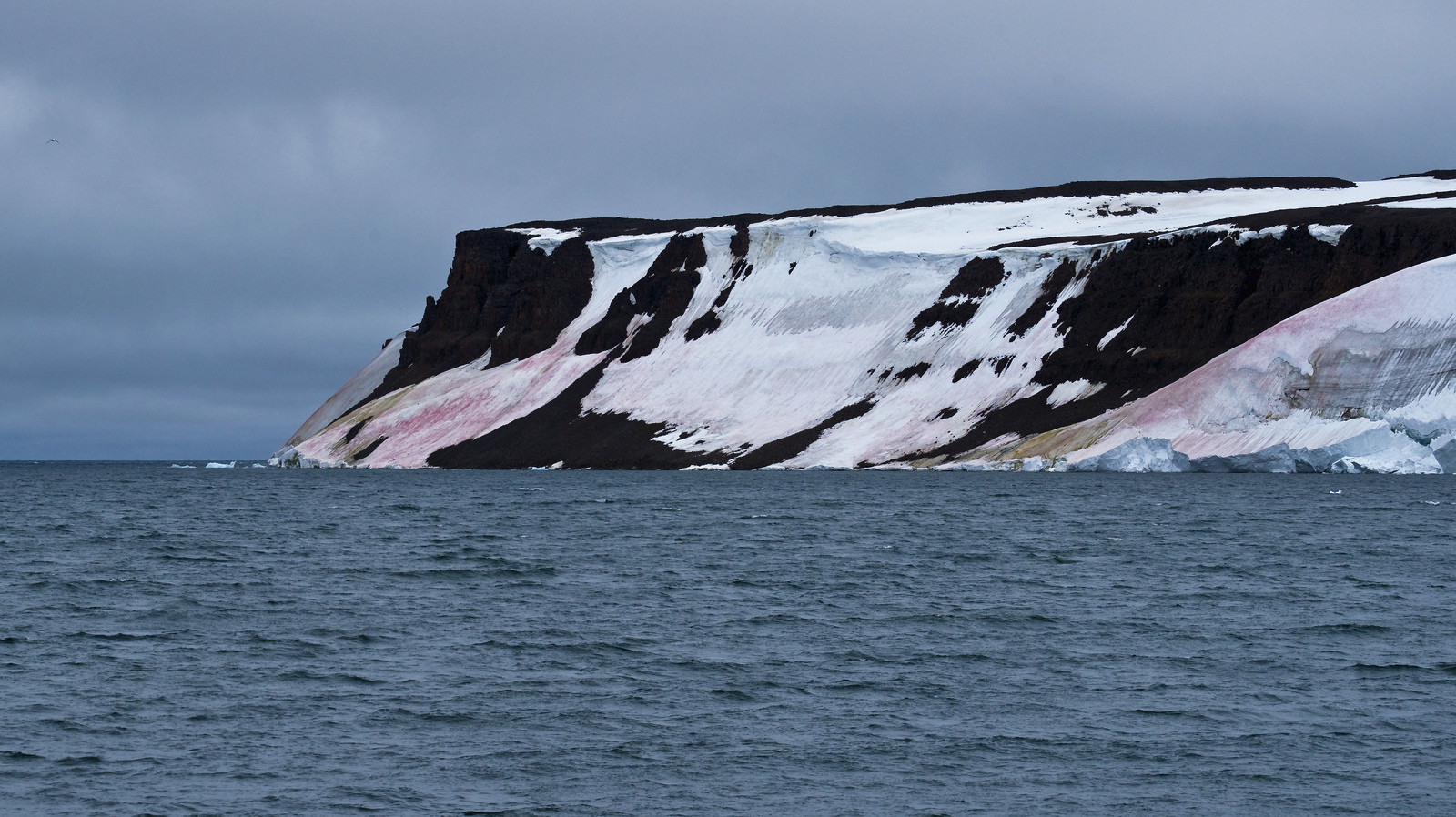 Архипелаг Земля Франца-Иосифа, Россия. Фото 1 – фотографии России