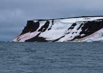 Архипелаг Земля Франца-Иосифа, Россия. Фото 1 – фотографии России