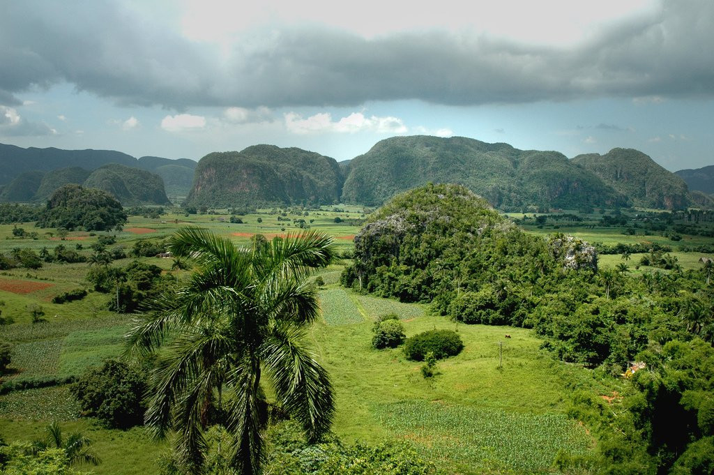 Природа в Пинар дель Рио провинция, Куба. Фото 20 – фотографии Кубы