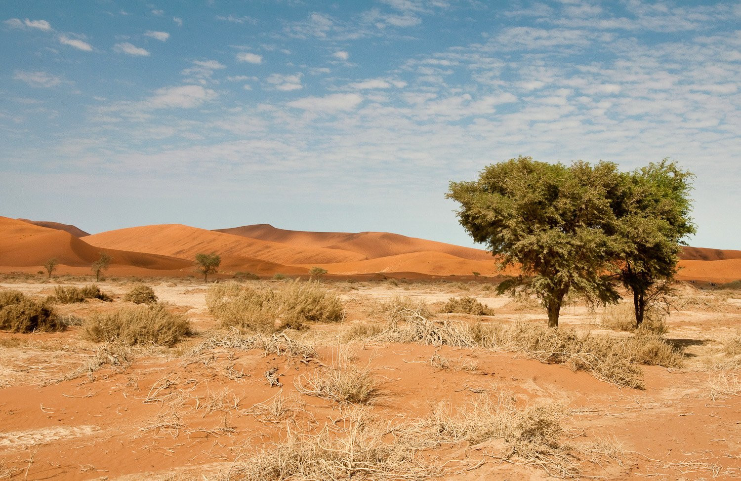 Намибия, фото № 5562 – фотографии Намибии