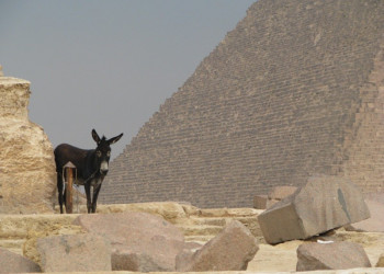 Каир, Египет, фото № 35152 – фотографии Египта