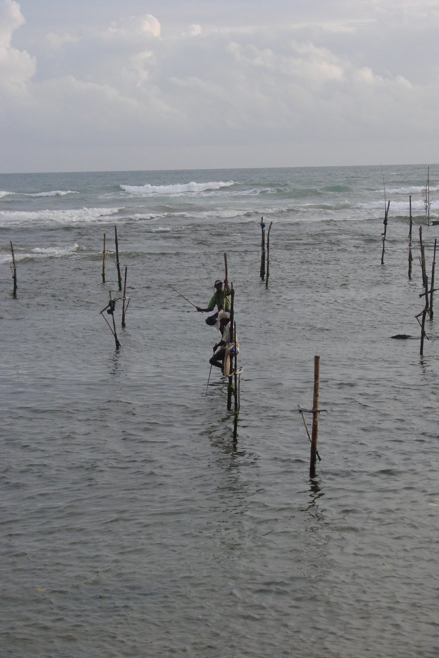 Коггала, Шри-Ланка, фото № 51558 – фотографии Шри-Ланки