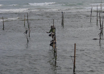 Коггала, Шри-Ланка, фото № 51558 – фотографии Шри-Ланки