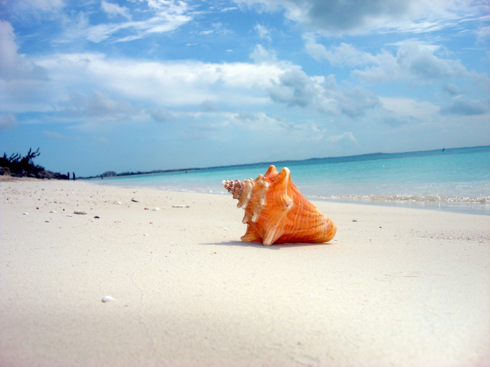 Остров Провиденсиалес (Providenciales) или Прово (Provo) – фотографии Тёркс и Кайкос