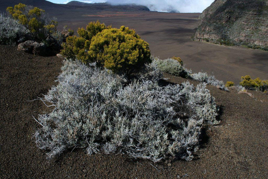 Плень-де-Сабль, Реюньон, фото № 25686 – фотографии Реюньона