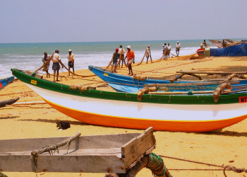Ваддува, Шри-Ланка, фото № 50811 – фотографии Шри-Ланки