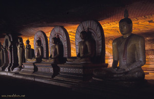 Дамбулла, Шри-Ланка, фото № 51107 – фотографии Шри-Ланки