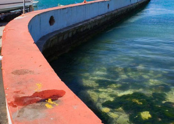 Бирзеббуджа, Мальта остров, Мальта, фото № 41994 – фотографии Мальты