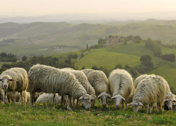 Тоскана, Италия, фото № 77942 – фотографии Италии