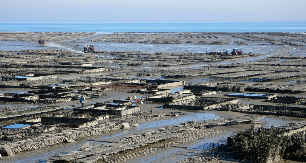 Канкаль, Франция. Фото 1 – фотографии Франции