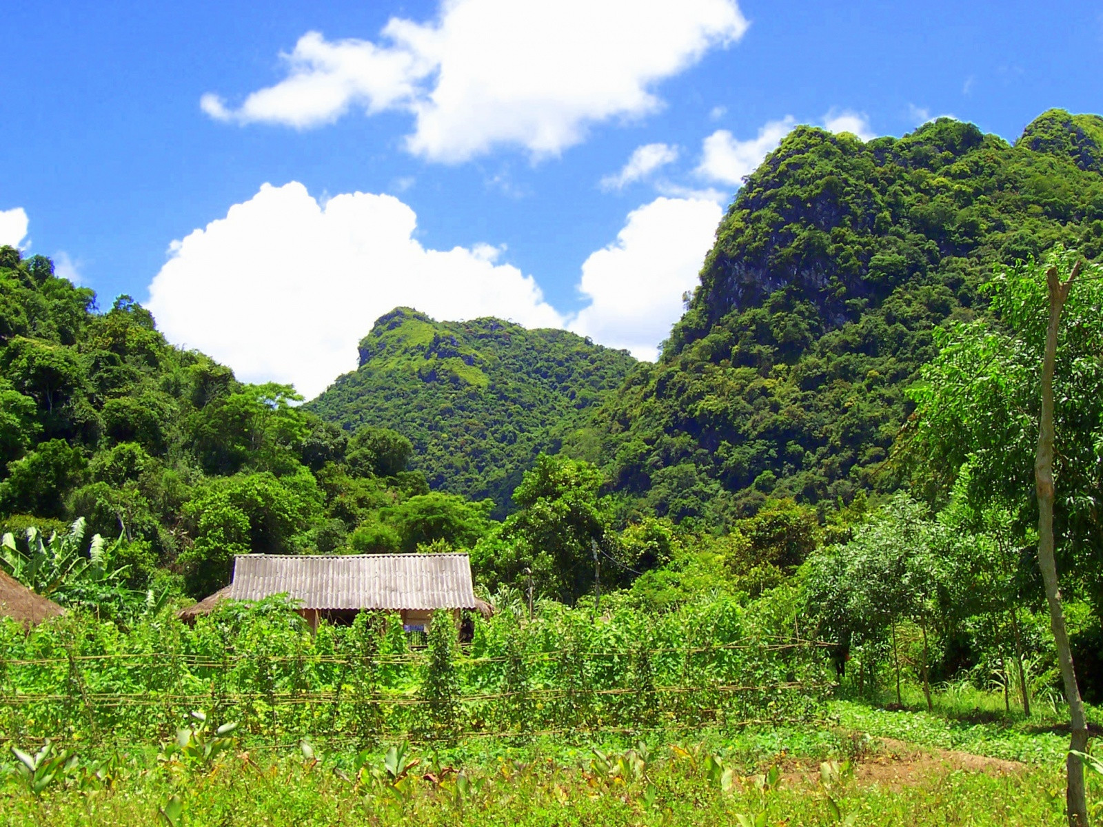 Остров Катба (Cát Bà) в бухте Халонг на севере Вьетнама – фотографии Вьетнама