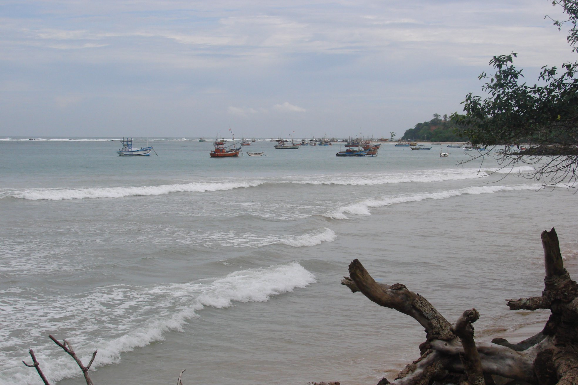 Велигама, Шри-Ланка, фото № 50819 – фотографии Шри-Ланки