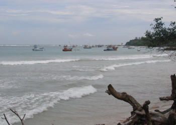Велигама, Шри-Ланка, фото № 50819 – фотографии Шри-Ланки