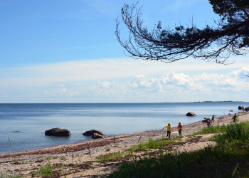 Прангли – фотографии Эстонии