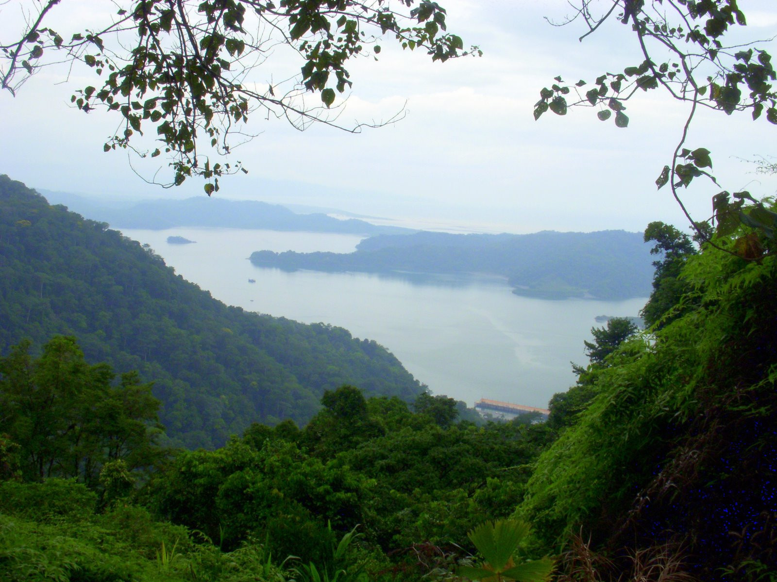 Гольфито, Пунтаренас провинция, Коста-Рика, фото № 40406 – фотографии Коста-Рики