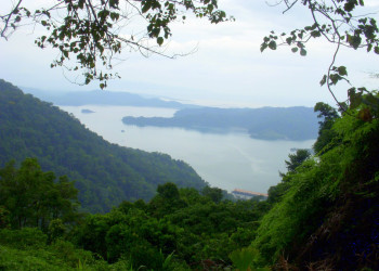 Гольфито, Пунтаренас провинция, Коста-Рика, фото № 40406 – фотографии Коста-Рики