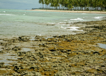 Порту-де-Галиньяс, Бразилия, фото № 59938 – фотографии Бразилии