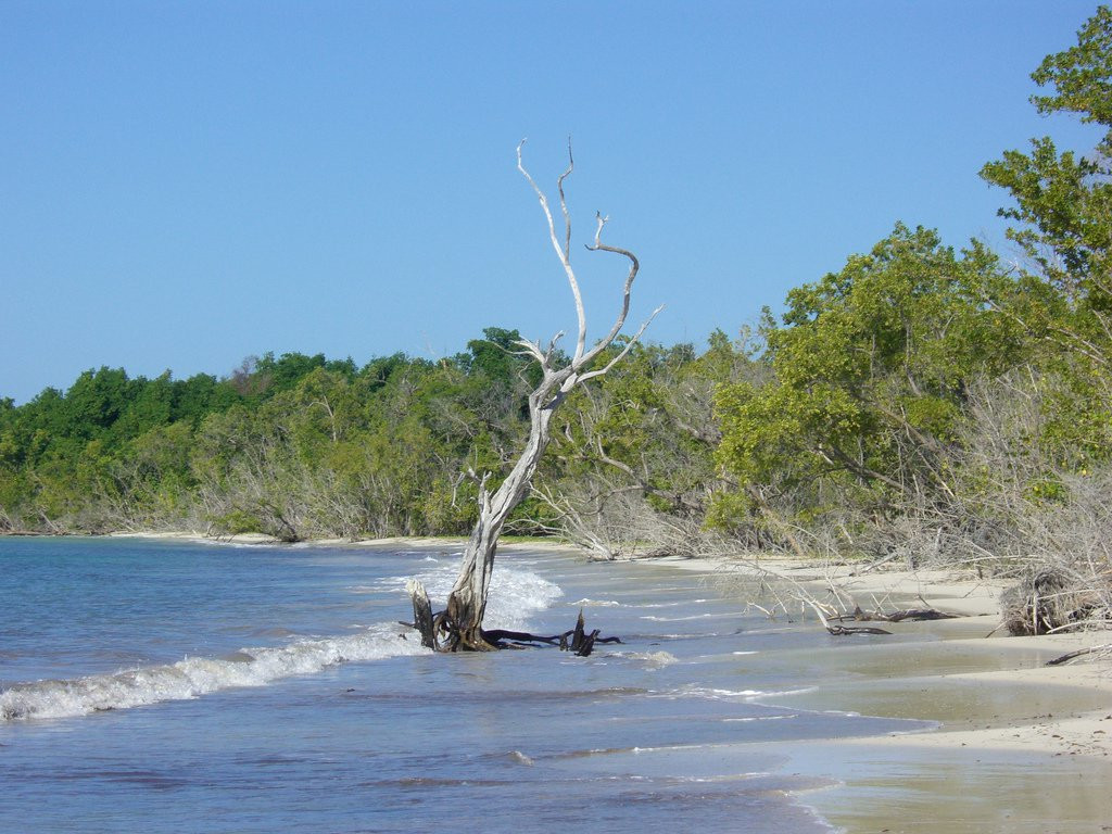 Уайтхаус, Ямайка. Фото 3 – фотографии Ямайки