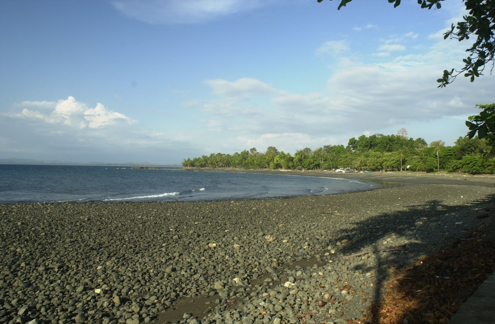 Павонес, Пунтаренас провинция, Коста-Рика, фото № 40902 – фотографии Коста-Рики