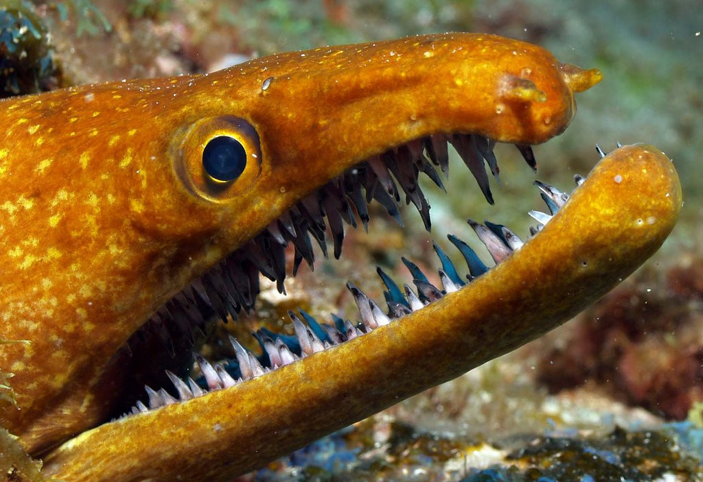 Гран-Канария остров, Канарские острова, фото № 31464 – фотографии Канарских островов