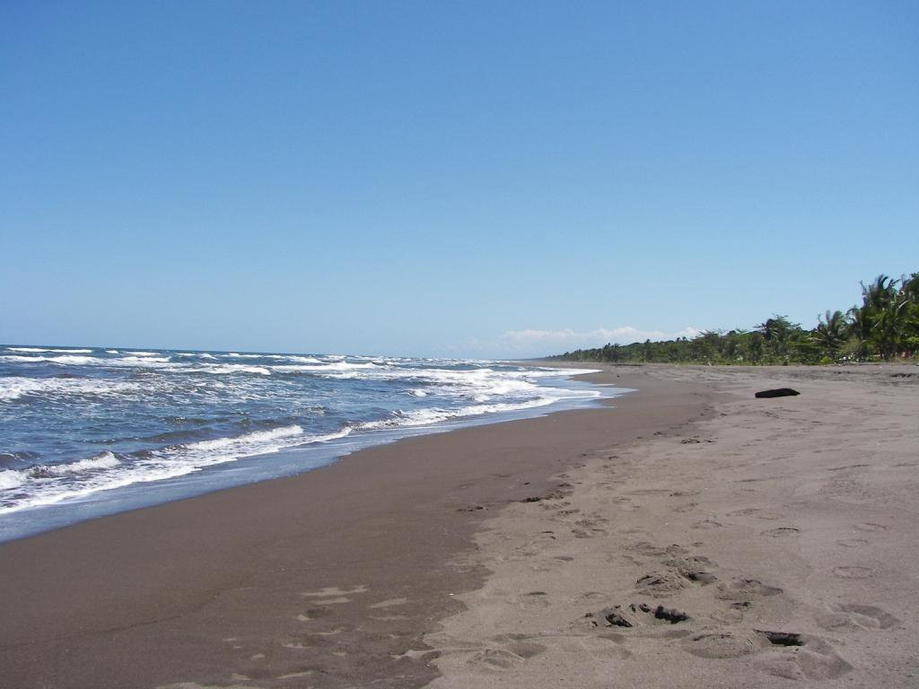 Тортугеро Национальный парк, Лимон провинция, Коста-Рика, фото № 40311 – фотографии Коста-Рики