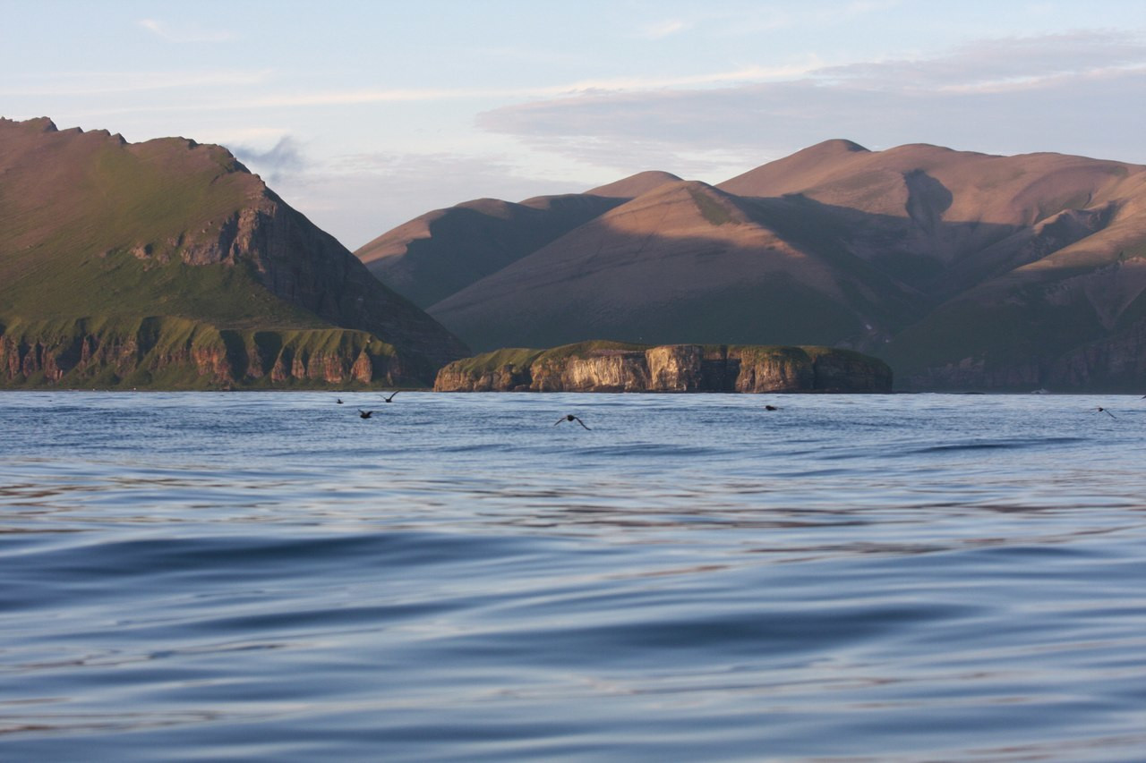 Командорские острова, Россия. Фото 25 – фотографии России