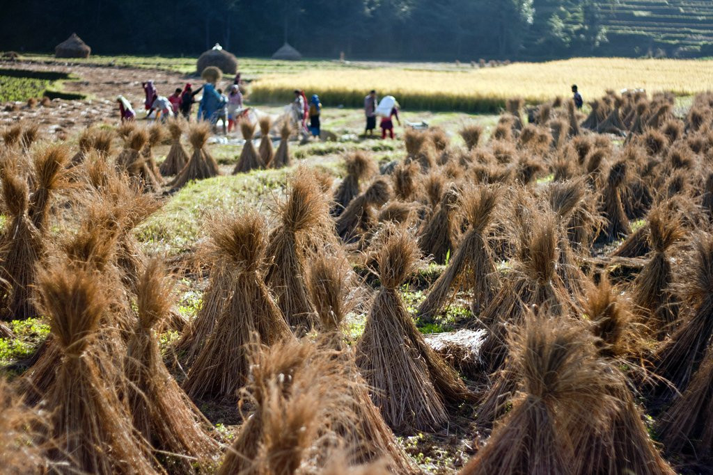 Панаути, Непал, фото № 79314 – фотографии Непала